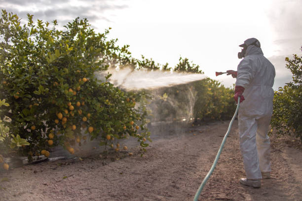 Best Pest Control Near Me  in Lake Morton Berrydale, WA