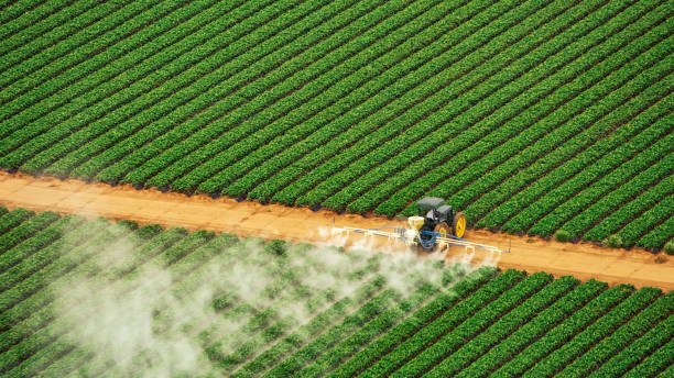 Best Exterminator Services  in Lake Morton Berrydale, WA
